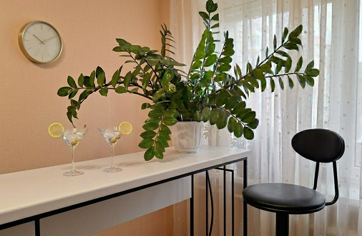 ZZ plant in white pot on bar shelf in home interior