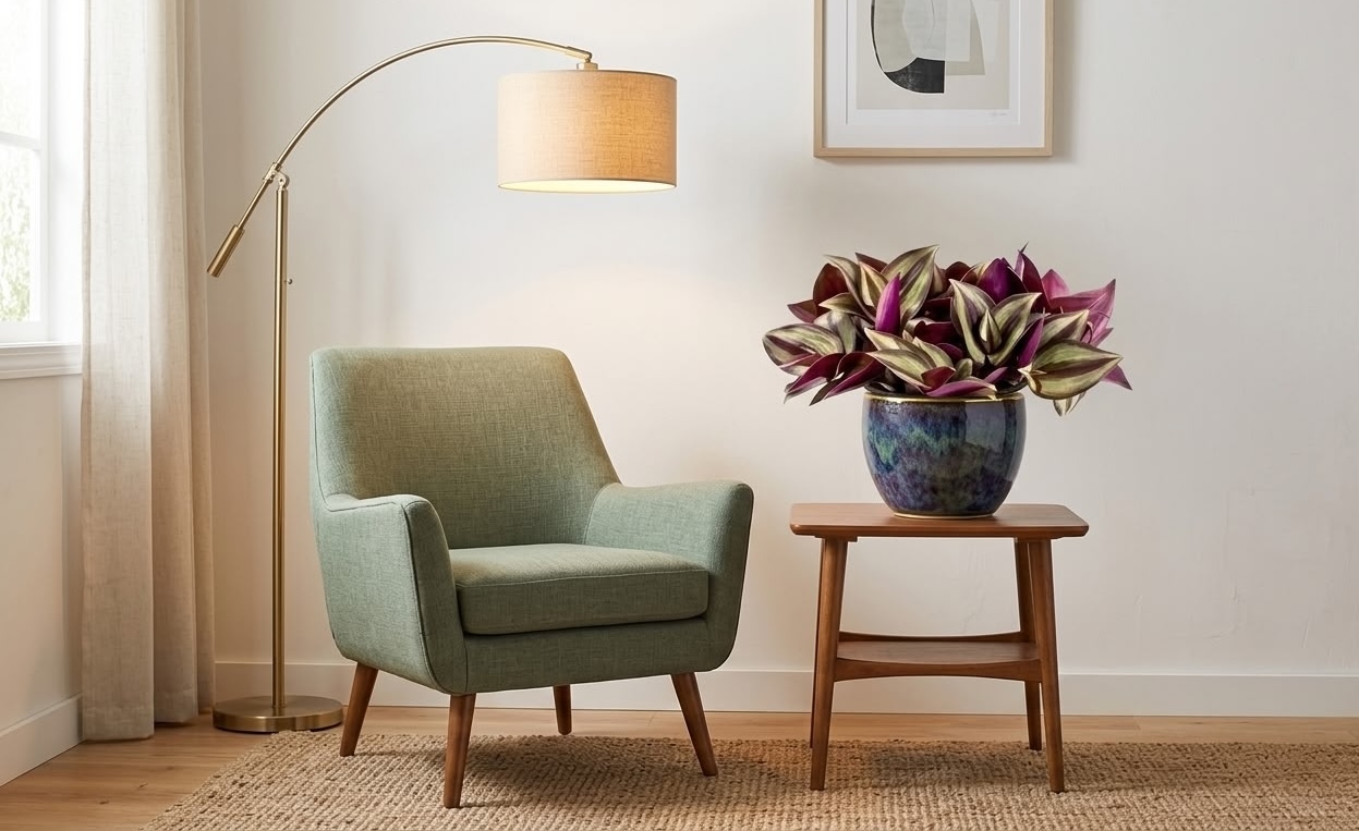 purple tradescantia zebrina in dark blue ceramic pot on side table next to armchair in modern living room